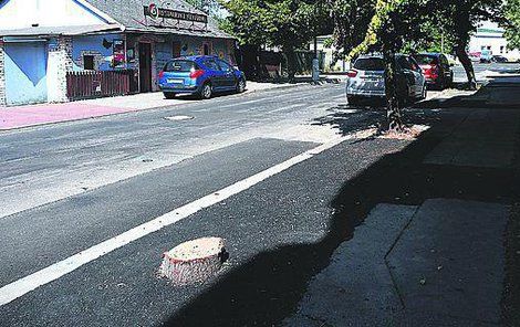 Plynaři pokáceli Plynaři pokáceli pět lip a nechali pět lip a nechali pařezy.