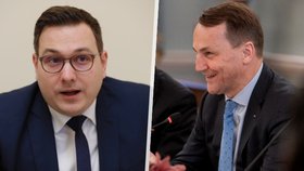 Polský ministr zahraničí Sikorski se sejde s Lipavským: Tématem bude Ukrajina