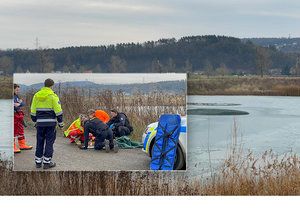 V Lipencích na okraji Prahy hasiči oživovali psa, pod kterým se propadl led na rybníce. Fenka ale nakonec zemřela.