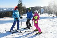 Skiareály v Česku nezdraží, někde dokonce zlevní. Jakou roli v tom hrají Alpy?