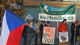Proti Lisabonské smlouvě protestovali v úterý v Brně u Ústavního soudu Klausovi příznivci ze Strany svobodných občanů.