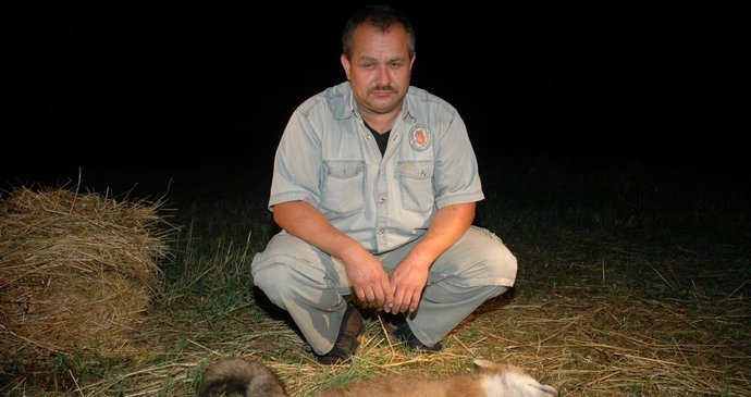 Karolínčin tatínek  Karel Bobál se sklání na mazlíčkem své dcery,  zastřeleným lišákem Cipískem.