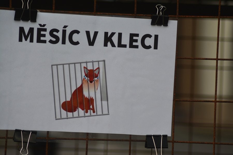 Akce začala 15. května.