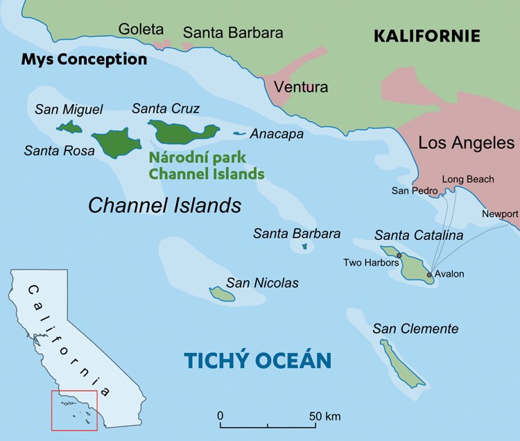 Ostrovy Channel Islands u pobřeží Kalifornie jsou domovem endemického druhu lišky ostrovní