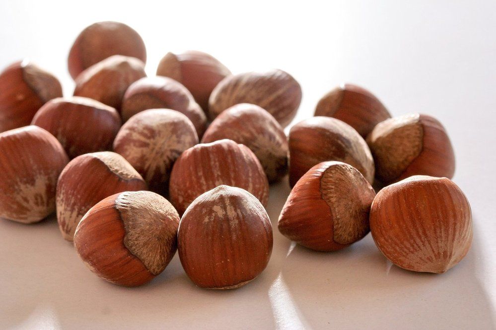 Lískové ořechy