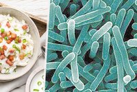 Listerie ze Slovenska: V sýru brynza našla veterinární správa nebezpečné bakterie