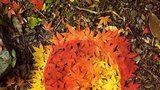 Podzim je tu: ozdobte si zahradu fantastickým ornamentem z barevného listí!