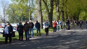 Hromadné testování obyvatel v Litoměřicích na protilátky koronavirového onemocnění covid-19. O testování je velký zájem (27. 4. 2020).