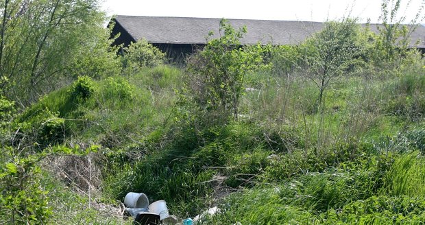 Na Litoměřicku našli mrtvolku novorozence.