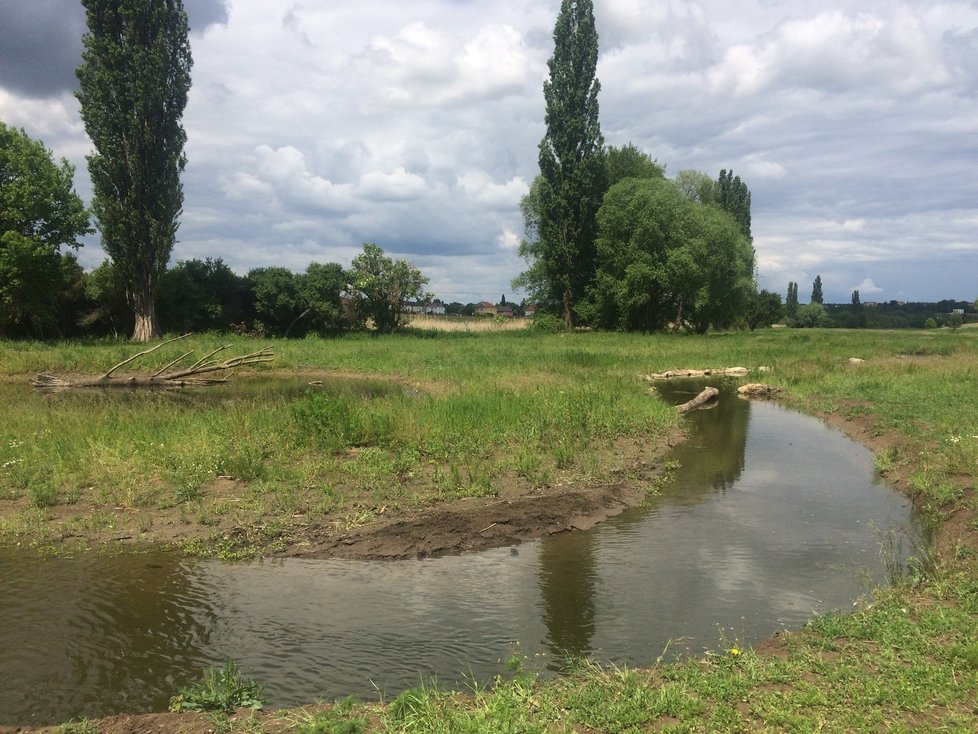 Na Říčanském potoku vznikly pozoruhodné meandry.