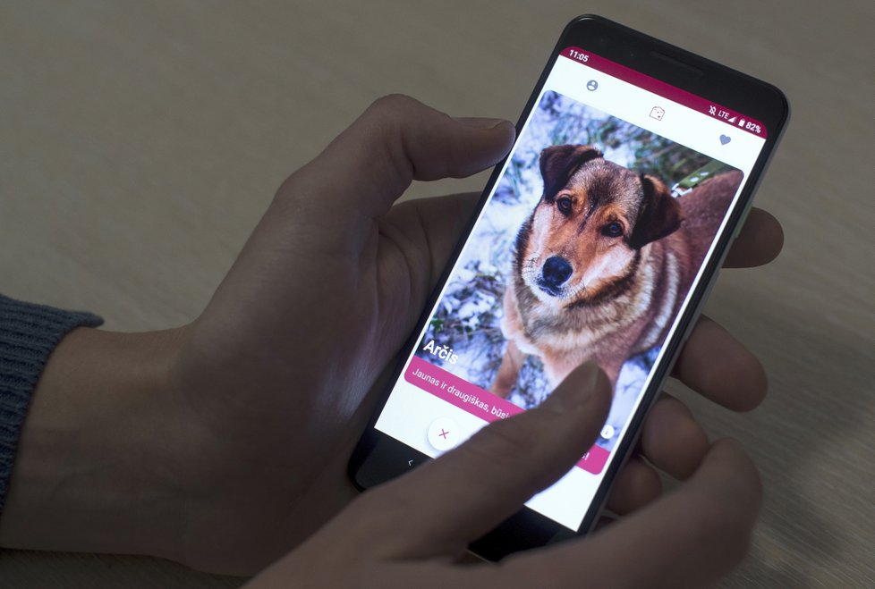 V Litvě vyvinuli mobilní seznamku pro psy z útulku a páníčky.