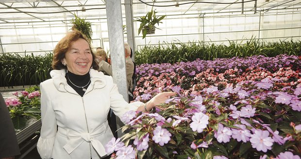 Ve sklenících jsou tisíce květin, které slouží k výzdobě celého Hradu, popsala první dáma Livia Klausová