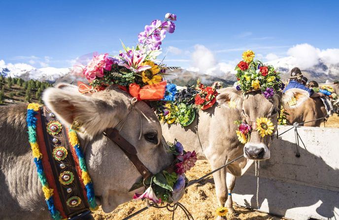 Městečko se špičkovými hotely tuto zimu hostí světový pohár i olympiádu Městečko se špičkovými hotely tuto zimu hostí světový pohár i olympiádu