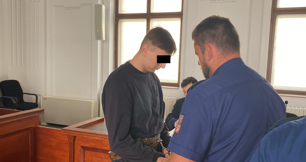 Viktor V. (19) dostal za znásilnění, pohlavní zneužití a pokus vraždy školačky (15) v Plzni 19 let vězení.