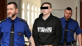 Viktor V. (19) z Plzně měl podle obžaloby znásilnit a pak se pokusit brutálně zabít dívku (15). Ta přežila jen proto, že předstírala smrt. Hrozí mu i výjimečný trest.