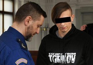 Viktor V. (19) z Plzně měl podle obžaloby znásilnit a pak se pokusit brutálně zabít dívku (15). Ta přežila jen proto, že předstírala smrt. Hrozí mu i výjimečný trest.