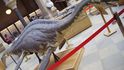 Muzejní model druhohorního plaza  Cryptocliduse, jenž bývá připodobňován k příšeře z jezera Loch Ness.