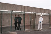 Loď s hantavirem začala evakuaci na Kanárech: Co říká WHO o možné pandemii?