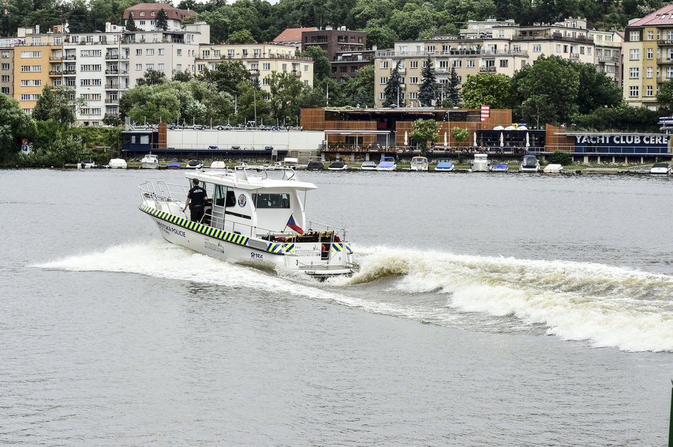 Může dosáhnout rychlosti až 80 km/h.