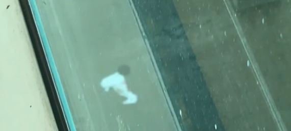Z okna parníku Freedom of the Seas vypadla 18měsíční holčička. Pád z 50 metrů na beton neměla šanci přežít