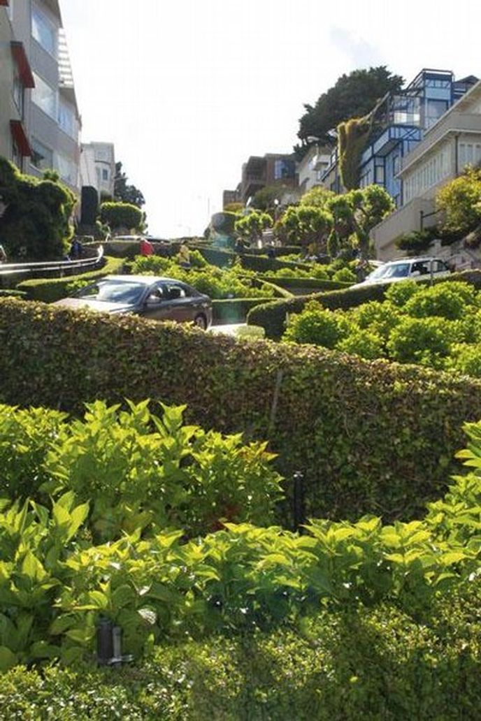 Lombard Street. Asi nejvíc
křivolaká ulice na světě.
Maximální povolená rychlost
je pět mil v hodině