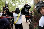 Policista zdolal maraton v kostýmu gorily.