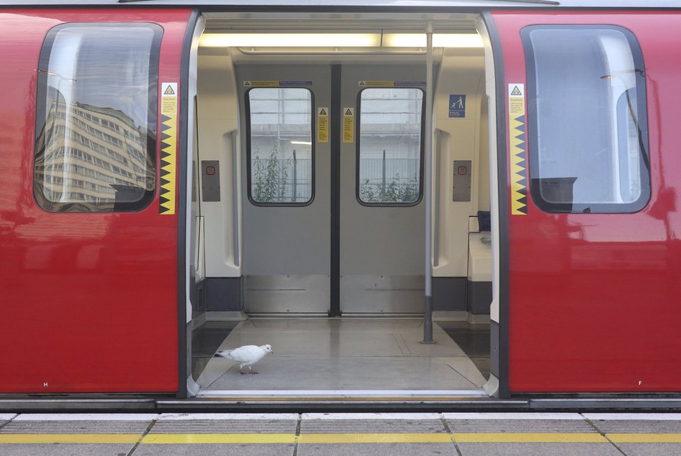 Londýnské metro zasáhl požár.