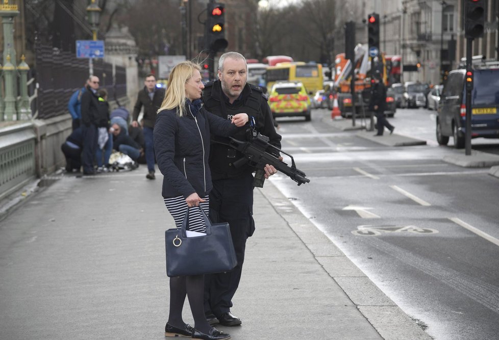 Střelba před britským parlamentem si vyžádala desítky zraněných.