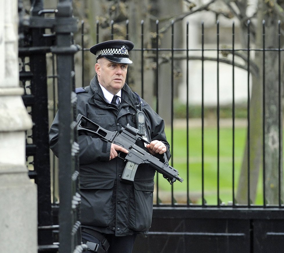 Střelba před britským parlamentem si vyžádala desítky zraněných.