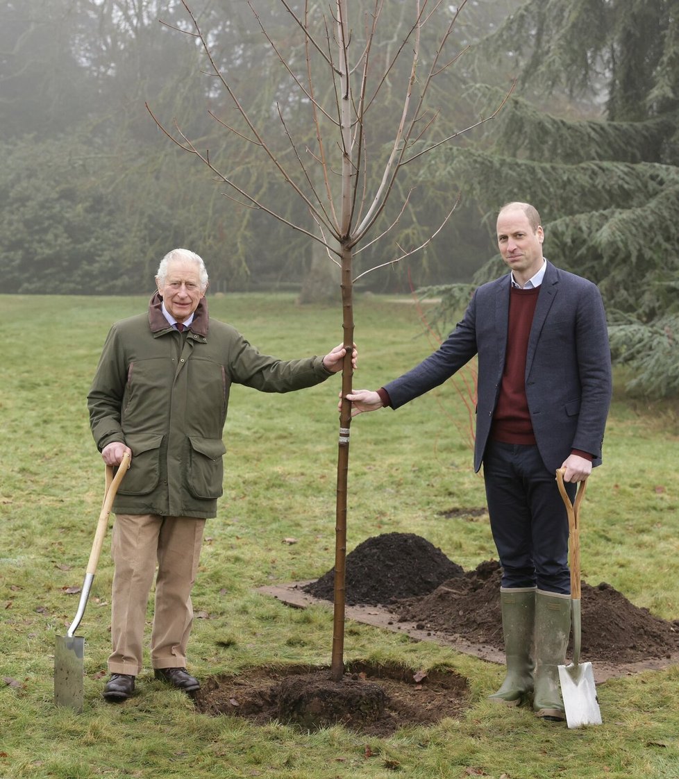 William a jeho otec král Karel III. během letošního sázení stromu v rámci iniciativy The Queen&#39;s Green Canopy.