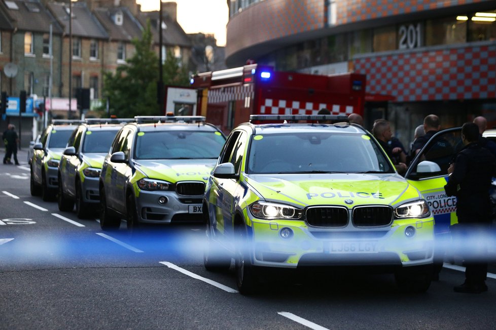 Britská policie zatkla muže podezřelé z neonacismu.