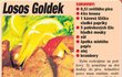 Losos Goldek