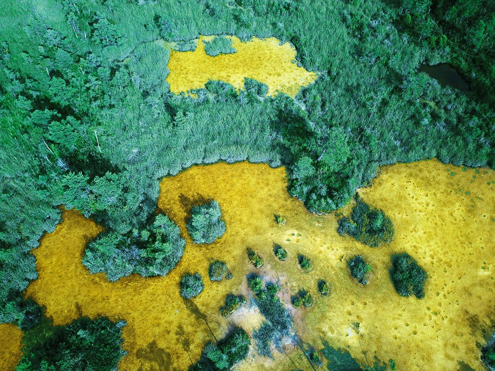 Minerální slatinná jezírka Sera diki v národním parku Kemeri