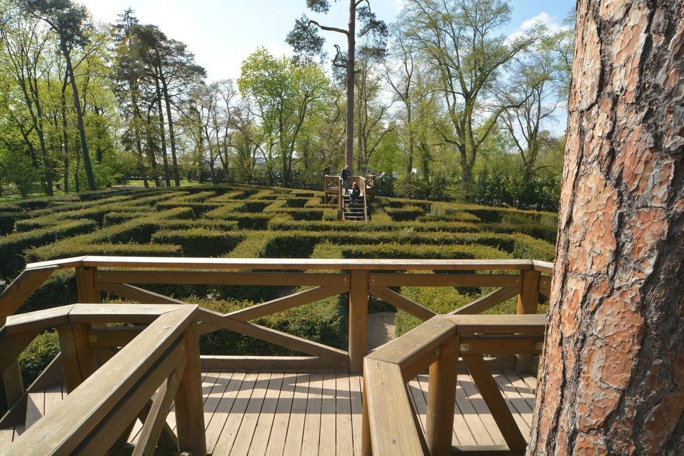 V parku na zámku Loučeň se nachází velké labyrintárium. Vyzkoušet můžete celkem dvanáct zahradních labyrintů a bludišť. Tisové bludiště, které vidíte na fotce, je z nich největší.