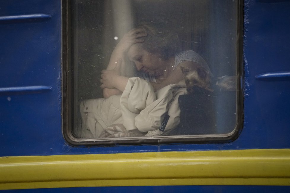 Zlomená žena sedí u okna vlaku, i ona prchá ze země, aby si zachránila život. Narychlo pobrala jen to nejcennější, včetně milovaného psa.