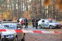 Silniční rabiát srazil v Praze policistu! Střelby se nezalekl, tak ho z vozovky museli vytlačit
