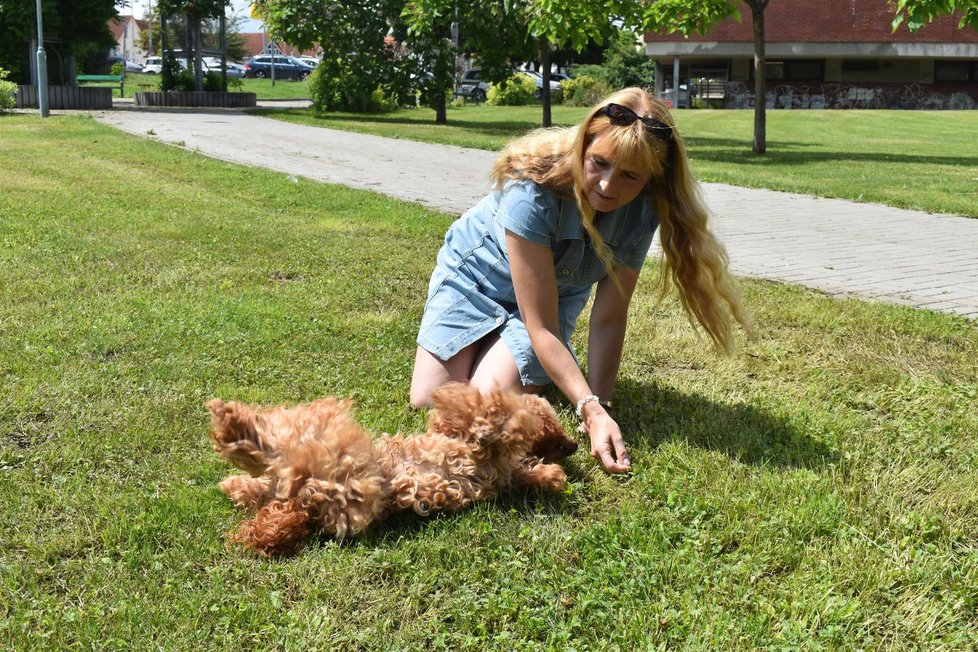 Akim umí asi 10 různých povelů, mimo jiné zvládá také válení sudů.