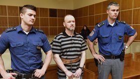 Šéf gangu Roman Dolíhal stojí před soudem i za vraždu velitele vozu, která se stala o čtyři roky později. Hrozí mu výjimečný trest vězení, tedy i doživotí.