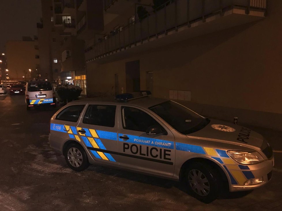 V Bratislavské ulici v Praze 10 došlo ve čtvrtek v noci k ozbrojenému loupežnému přepadení samoobsluhy.