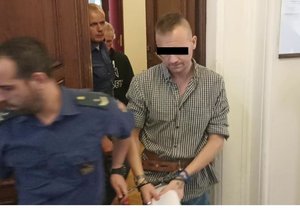 Martin P. (38) čelí u brněnského soudu obžalobě z pokusu o vraždu a loupeže. Dva bratry z Vyškova chtěl spolu se svými kumpány obrat o veteránské tatrovky.