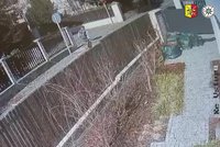 Nepochopitelný hyenismus: Muž povalil seniorku (79) na schody a obral ji o důchod! Pátrá po něm policie