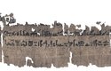 Část egyptského papyru Louvre-Carlsberg, která pojednává o otocích kůže