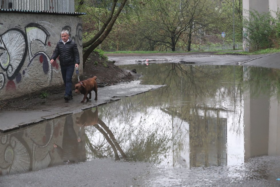 Zapáchající jezírko se nachází na okraji Pivovarnické ulice v Libni.