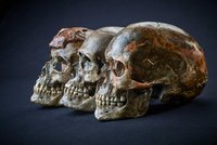 Unikátní výzkum: Pravěcí lovci z Dolních Věstonic nemají v Česku potomky