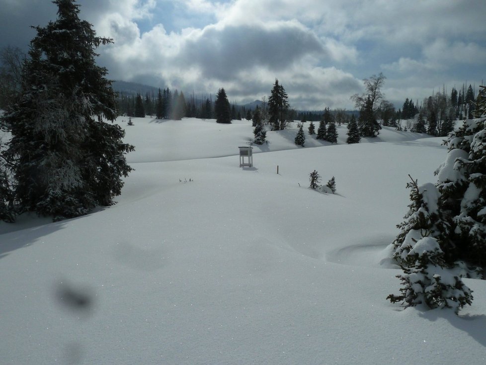Měřicí budka na Březníku při 194 cm napadaného sněhu. I tam je třeba každý víkend dojít.