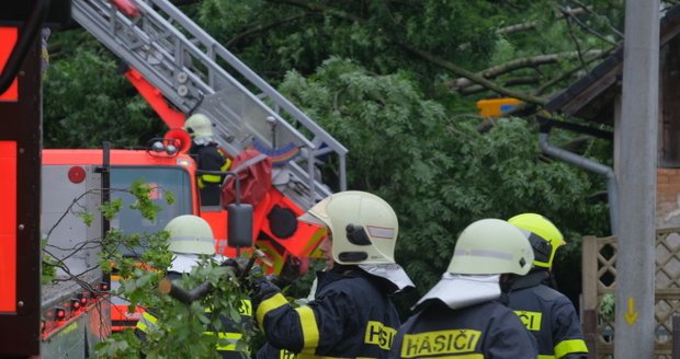 Hasiči odstraňují nebezpečné stromy po sesuvu půdy v Kopřivnici-Lubině.