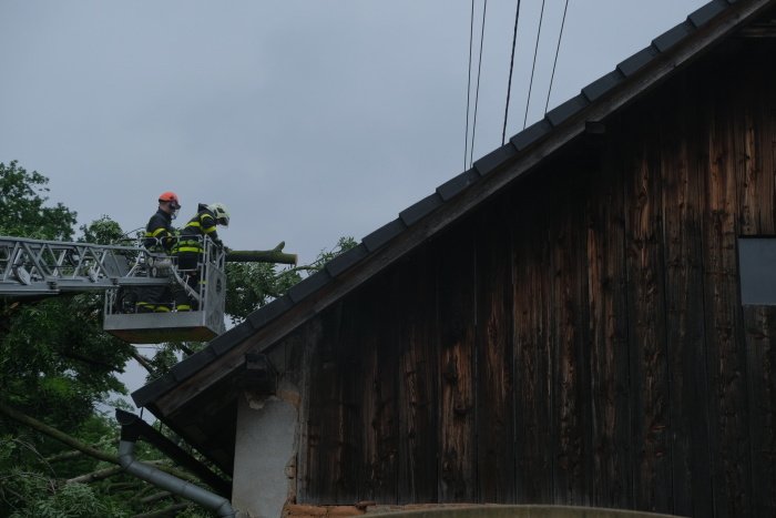 Hasiči odstraňují nebezpečné stromy po sesuvu půdy v Kopřivnici-Lubině.