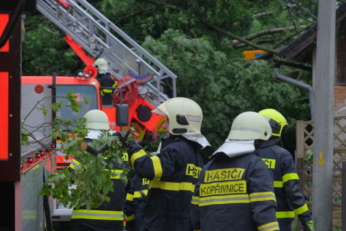 Hasiči odstraňují nebezpečné stromy po sesuvu půdy v Kopřivnici-Lubině.