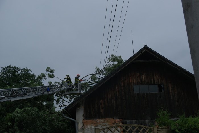 Hasiči odstraňují nebezpečné stromy po sesuvu půdy v Kopřivnici-Lubině.