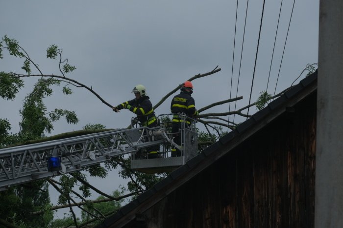 Hasiči odstraňují nebezpečné stromy po sesuvu půdy v Kopřivnici-Lubině.